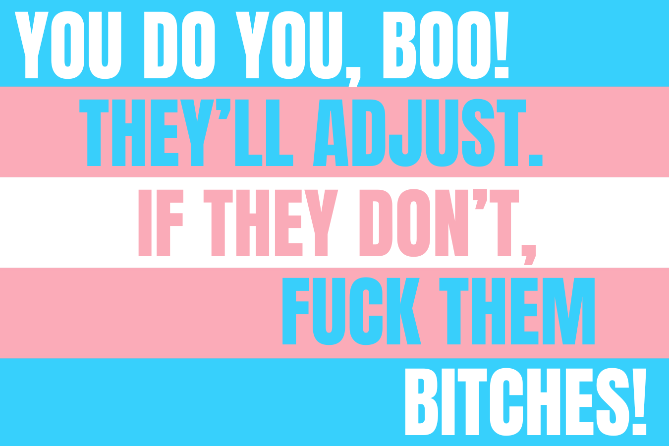 This is a detailed close up of the You do you, boo! They'll adjust. if they don't, Fuck them bitches! sticker which has blue, pink and white colors for trans rights. 